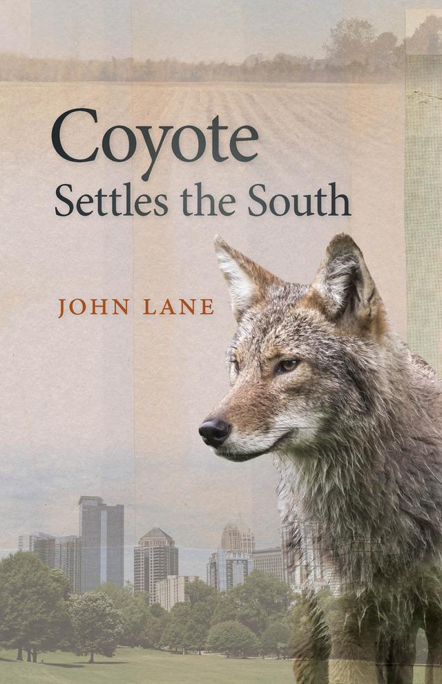 Coyote Settles the South by John Lane
