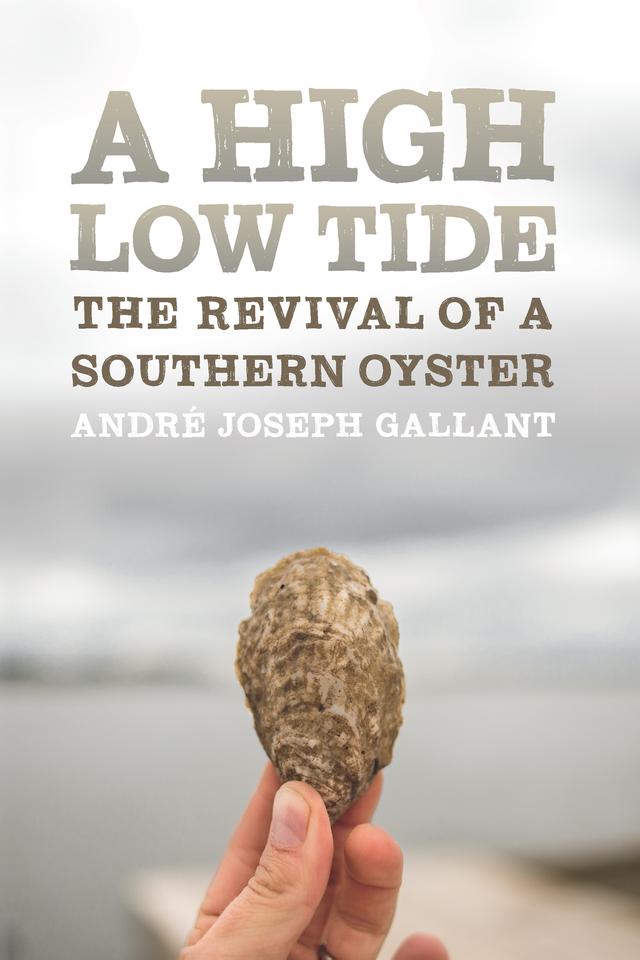 A High Low Tide by André Joseph Gallant