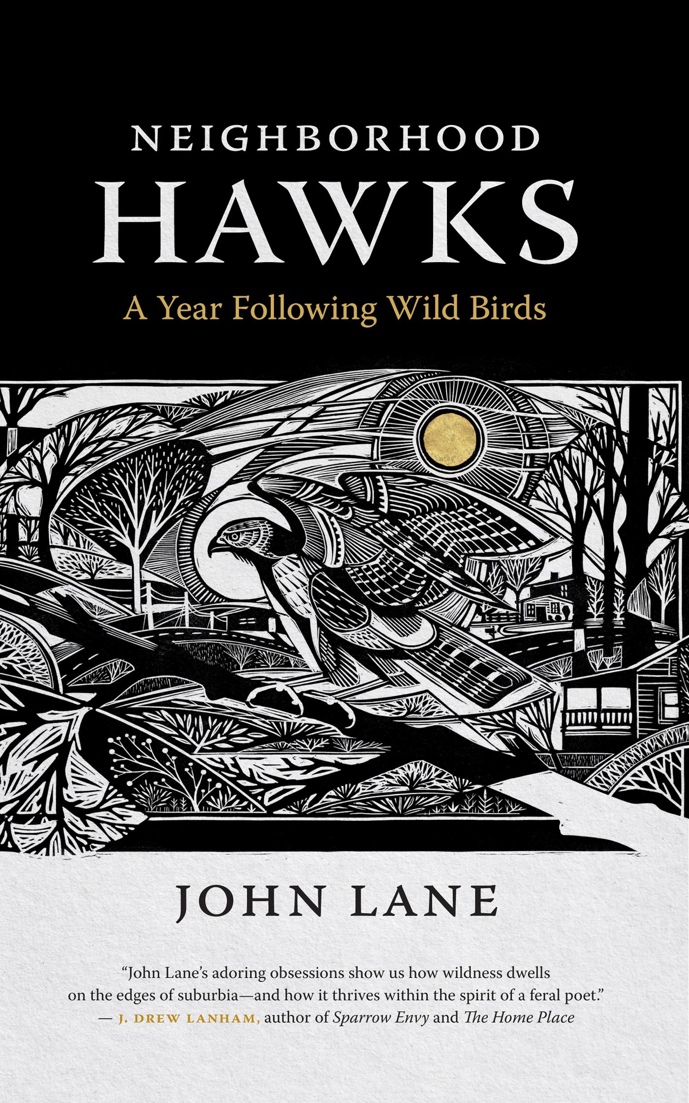 Neighborhood Hawks