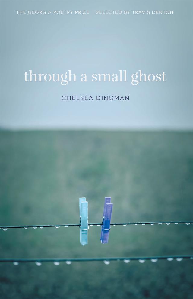 Through a Small Ghost by Chelsea Dingman