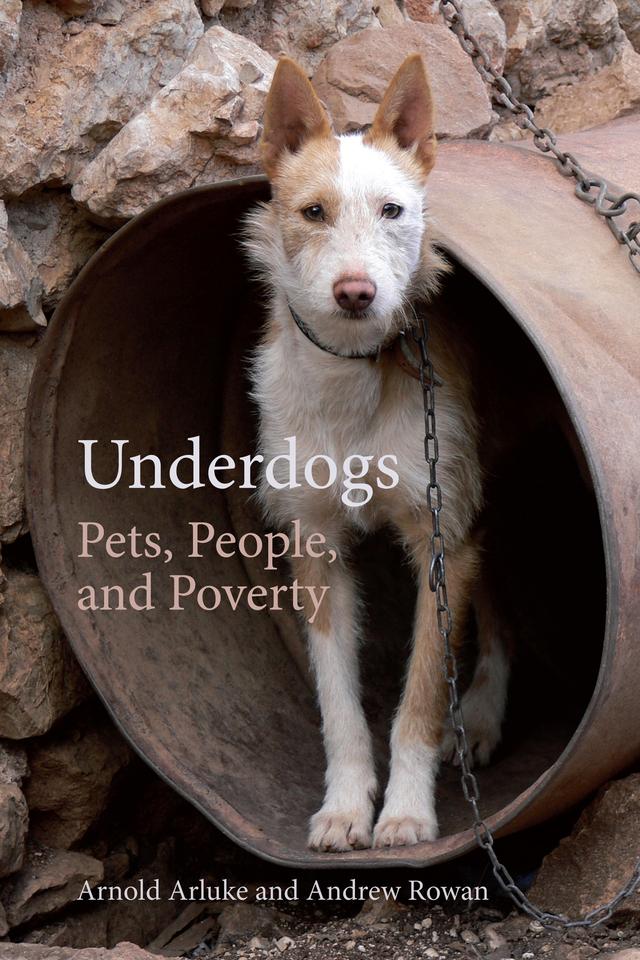 Underdogs by Andrew Rowan, Arnold Arluke