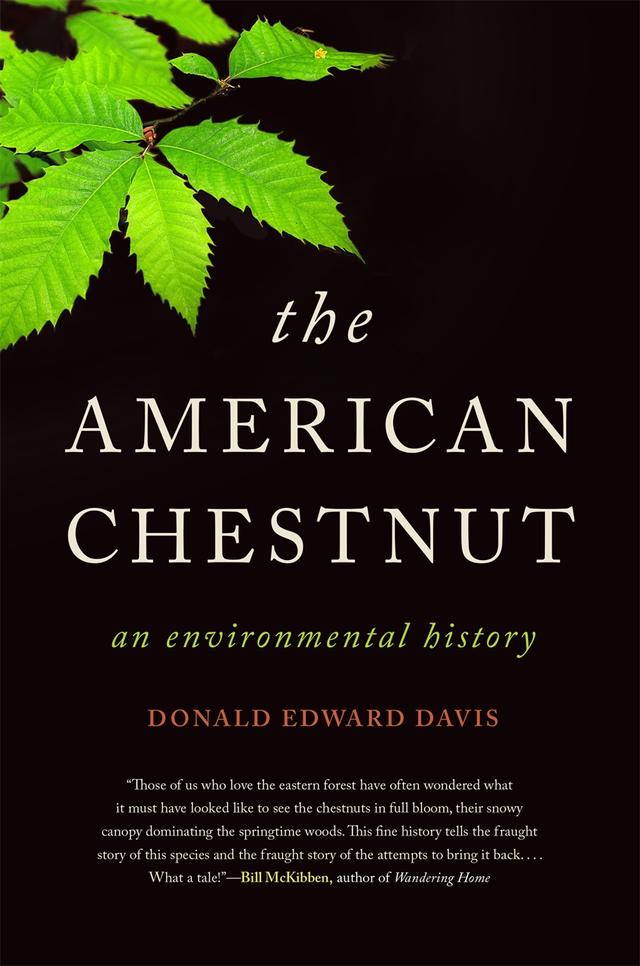 The American Chestnut by Donald Edward Davis