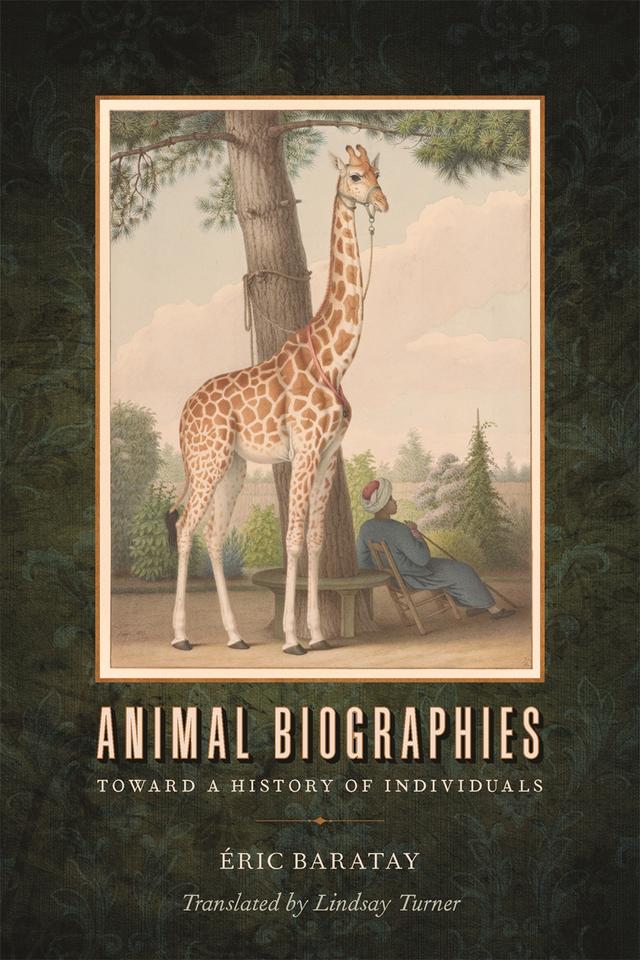 Animal Biographies by Éric Baratay, Lindsay Turner