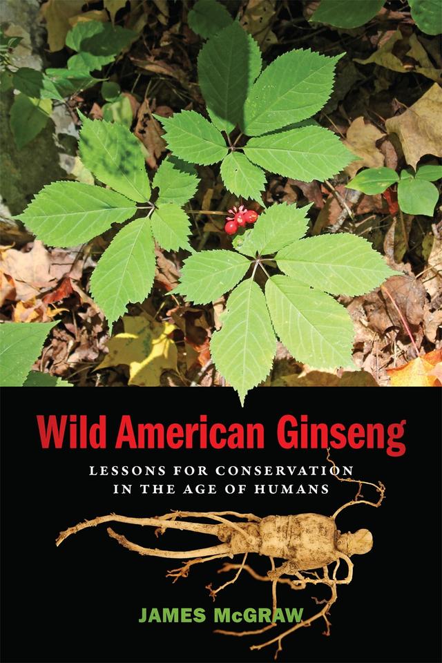 Wild American Ginseng by James McGraw