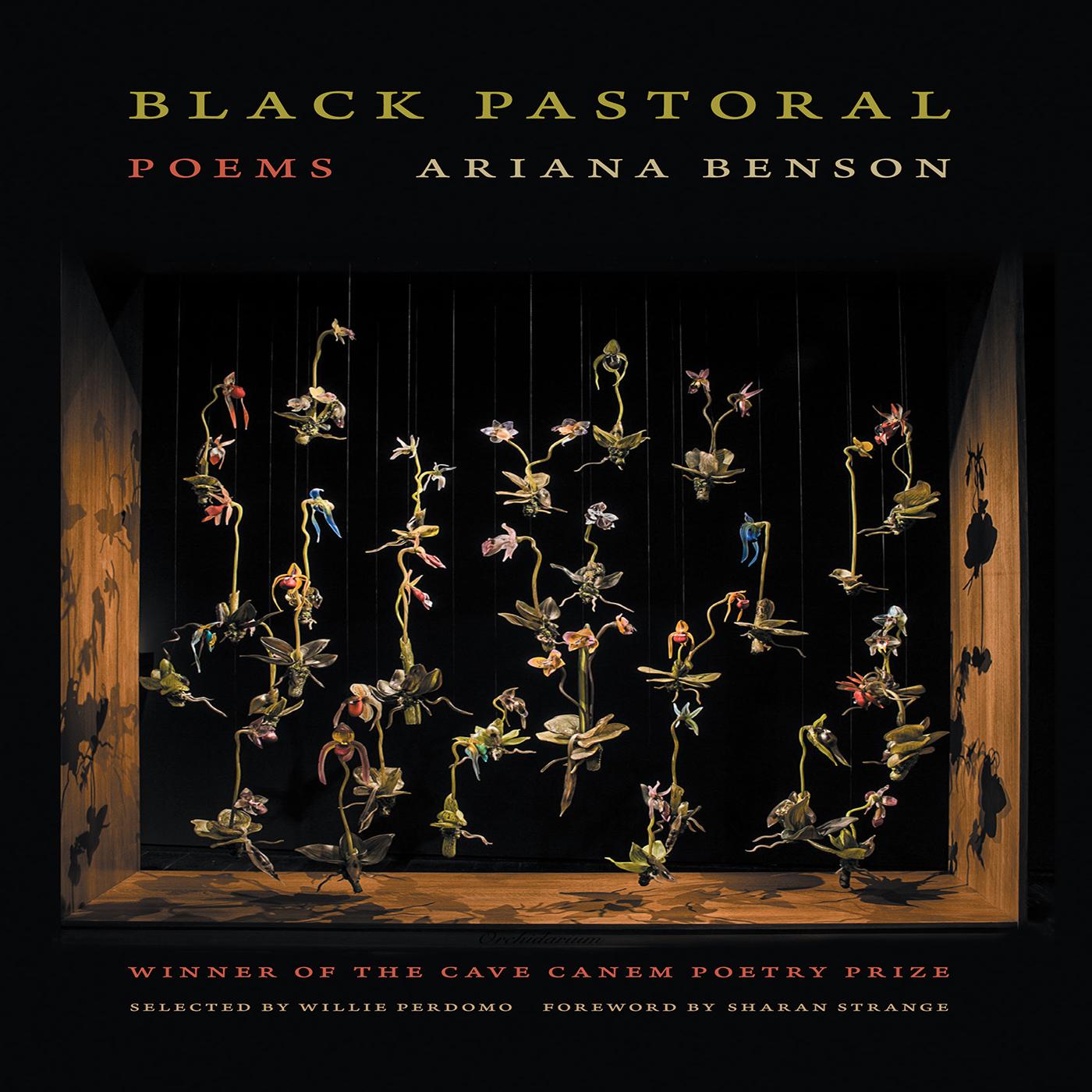 Black Pastoral