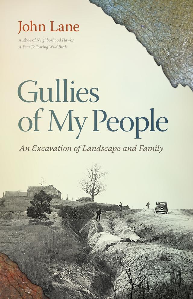 Gullies of My People by John Lane