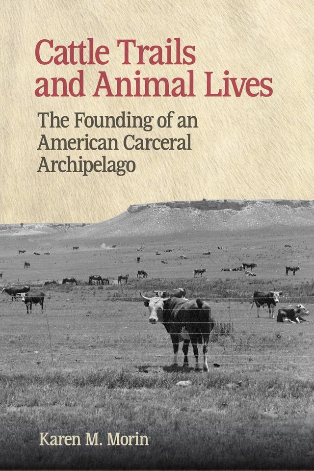 Cattle Trails and Animal Lives by Karen M. Morin