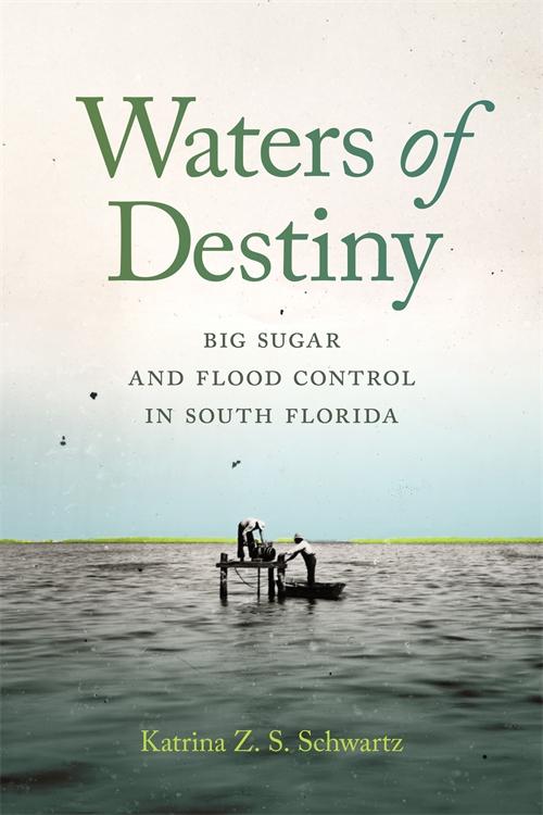Waters of Destiny by Katrina Schwartz
