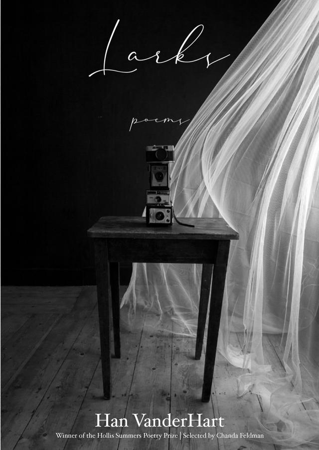 Larks by Han VanderHart