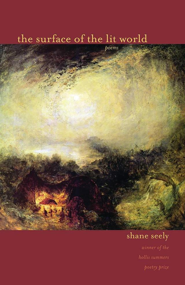 The Surface of the Lit World by Shane  Seely