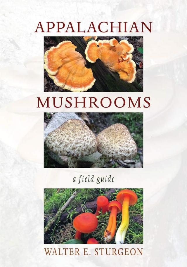 Appalachian Mushrooms by Walter E. Sturgeon