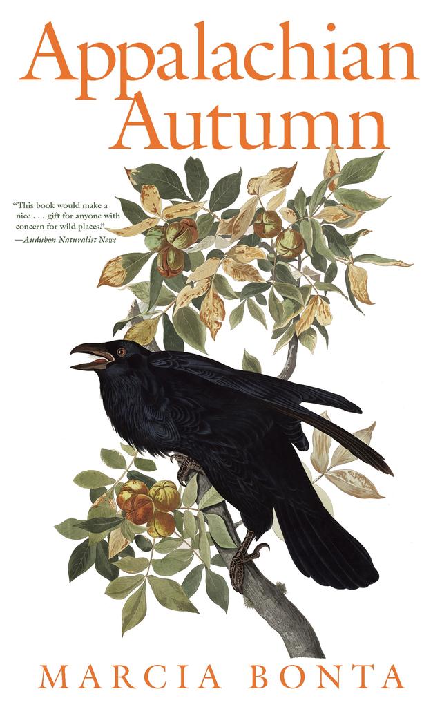 Appalachian Autumn by Marcia Bonta