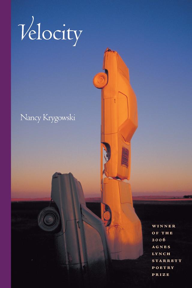 Velocity by Nancy Krygowski