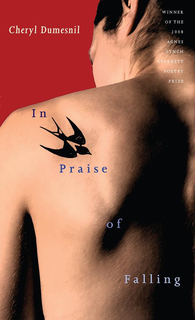 In Praise of Falling by Cheryl  Dumesnil