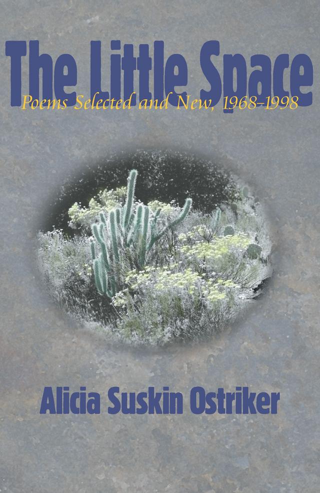 The Little Space by Alicia Suskin Ostriker