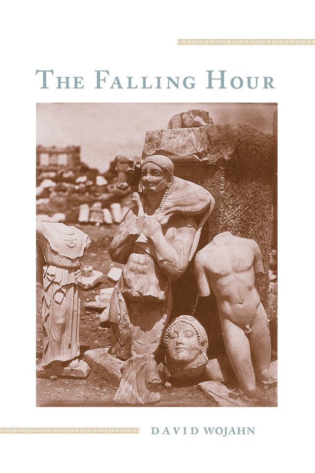 The Falling Hour by David Wojahn