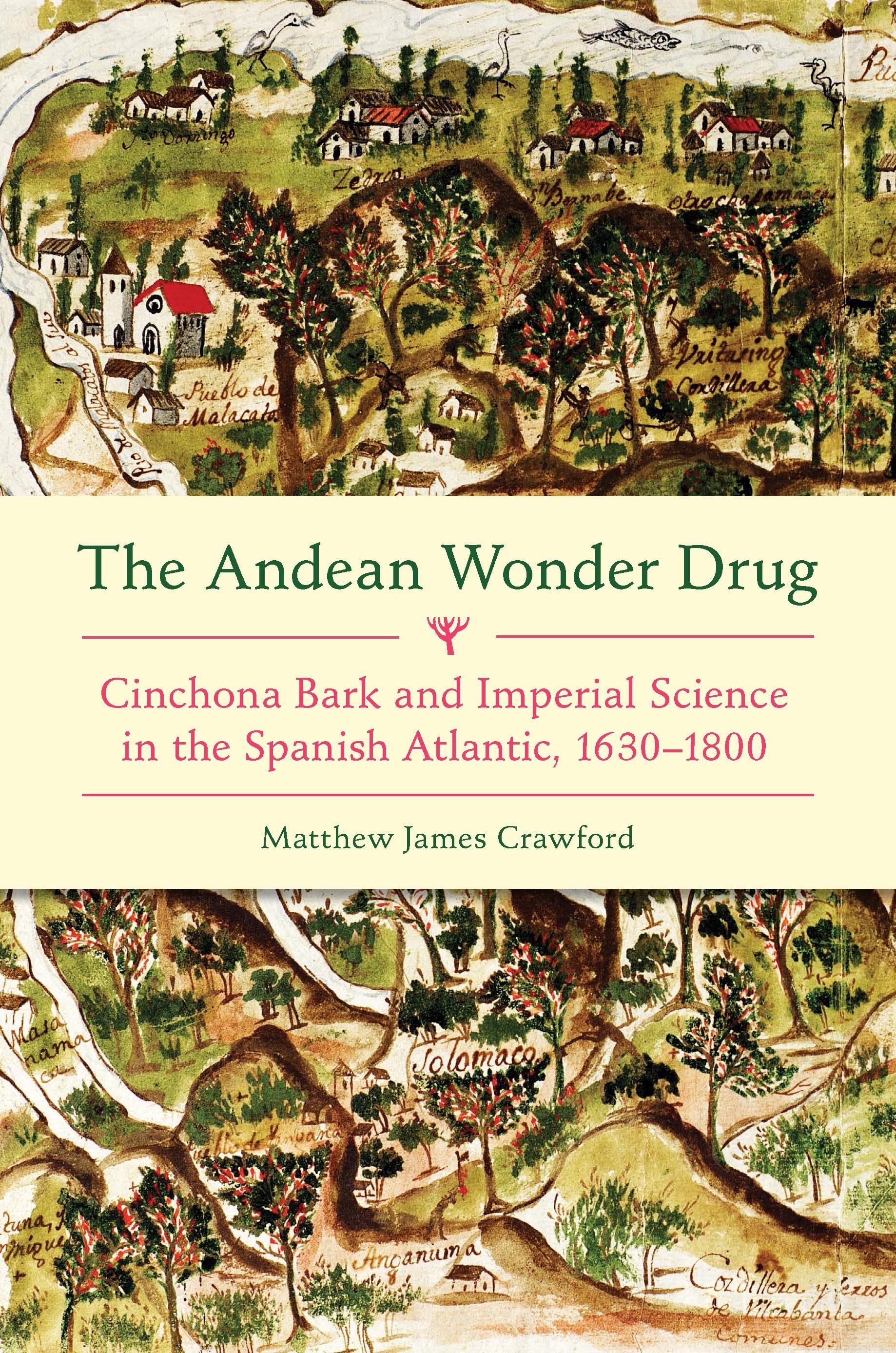The Andean Wonder Drug