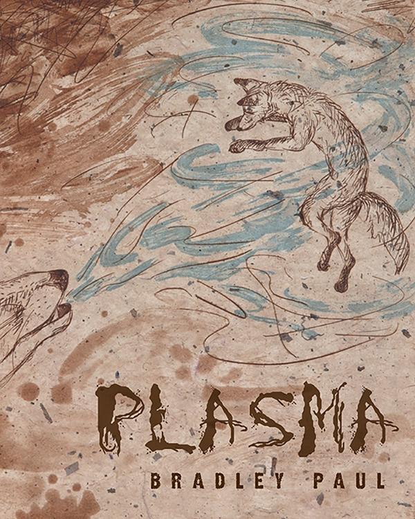 Plasma by Bradley Paul