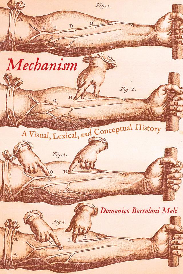 Mechanism by Domenico Bertoloni Meli