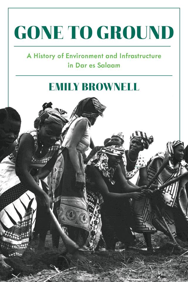 Gone to Ground by Emily Brownell