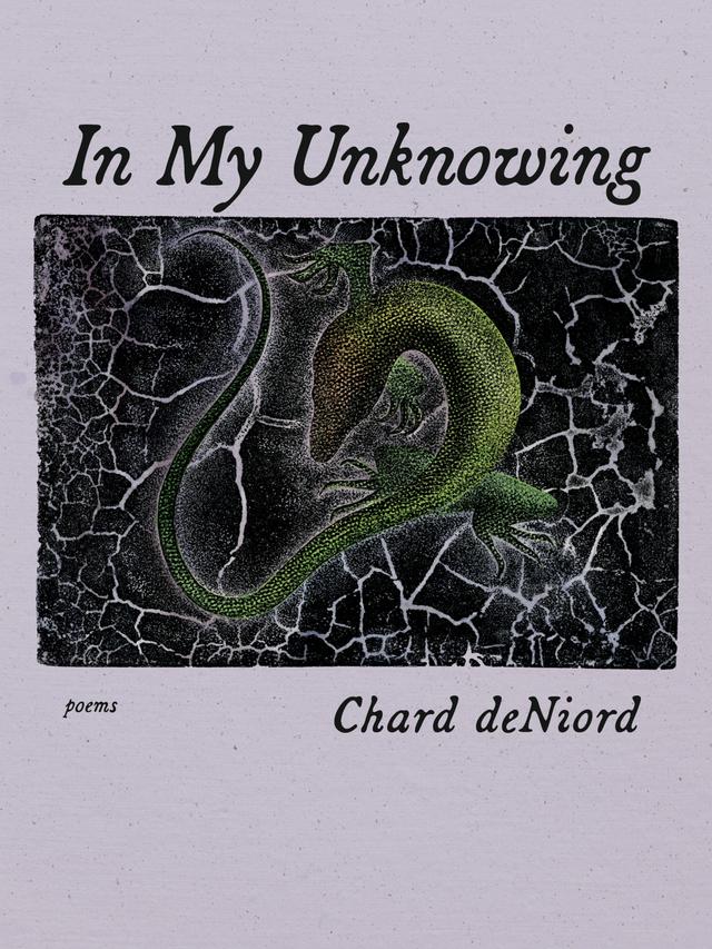 In My Unknowing by Chard deNiord