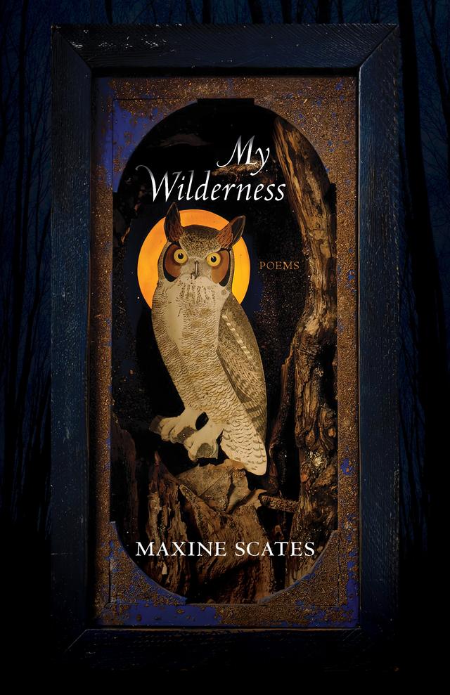 My Wilderness by Maxine Scates