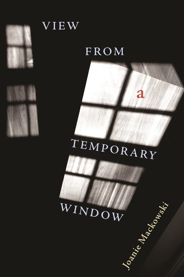 View from a Temporary Window by Joanie Mackowski