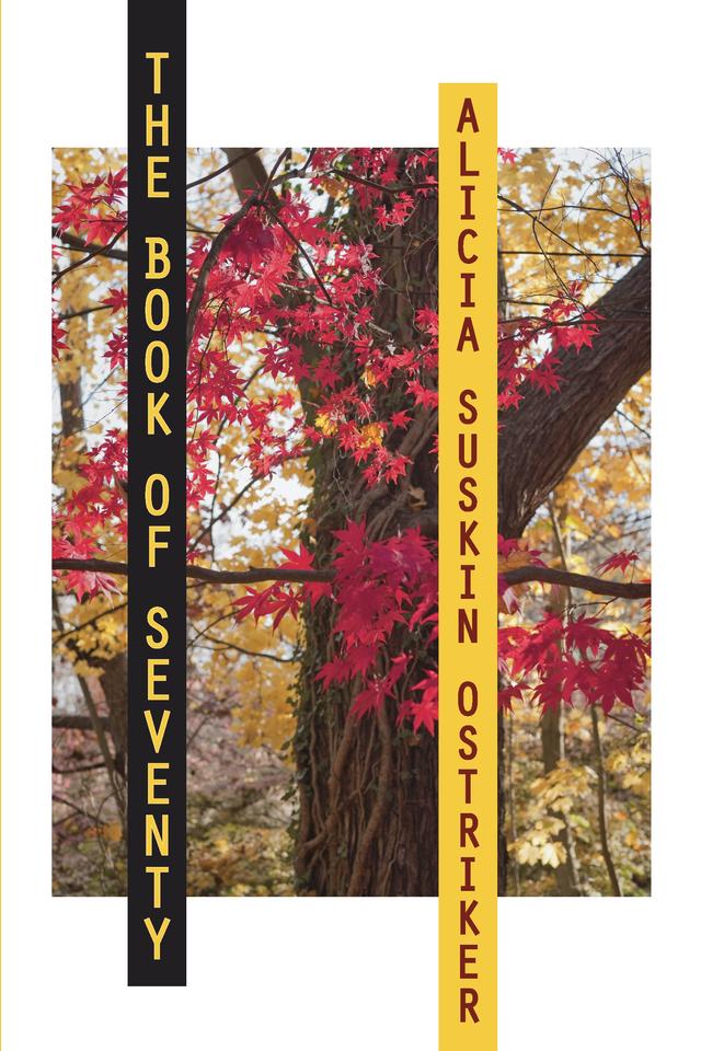 The Book of Seventy by Alicia Suskin Ostriker