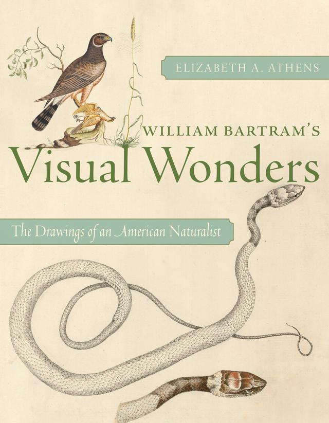 William Bartram's Visual Wonders by Elizabeth A. Athens