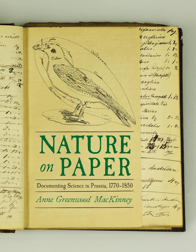 Nature on Paper by Anne Greenwood MacKinney