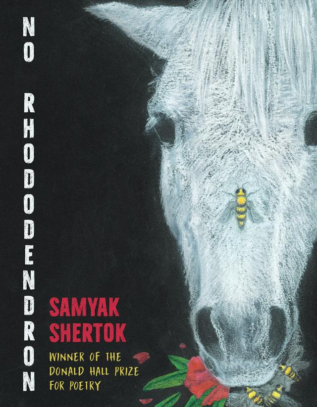 No Rhododendron by Samyak Shertok