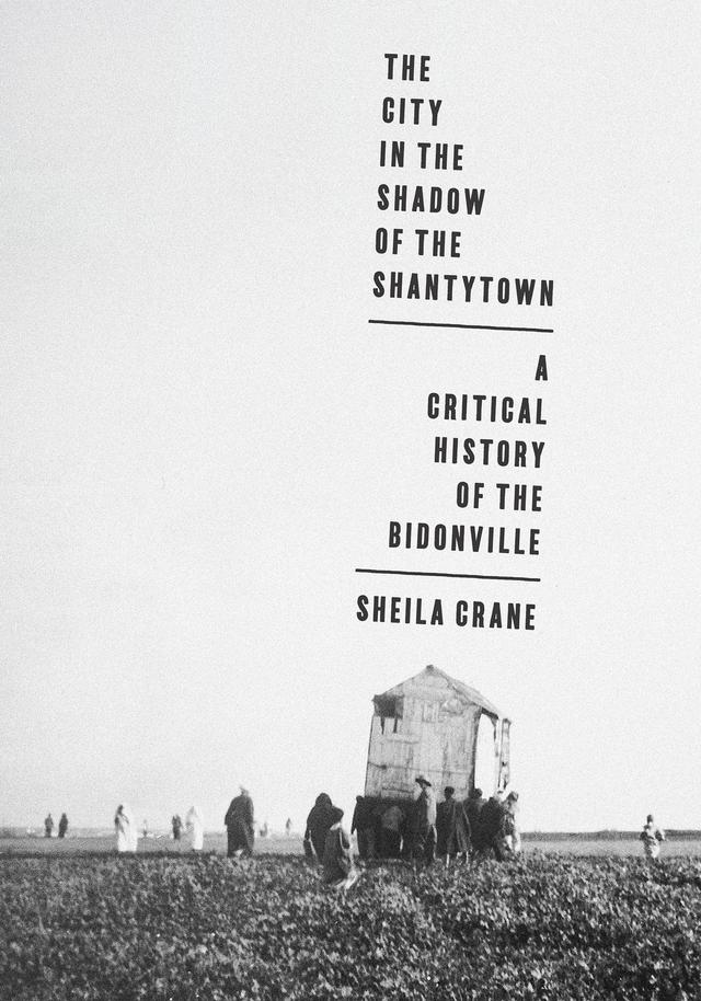 The City in the Shadow of the Shantytown by Sheila Crane