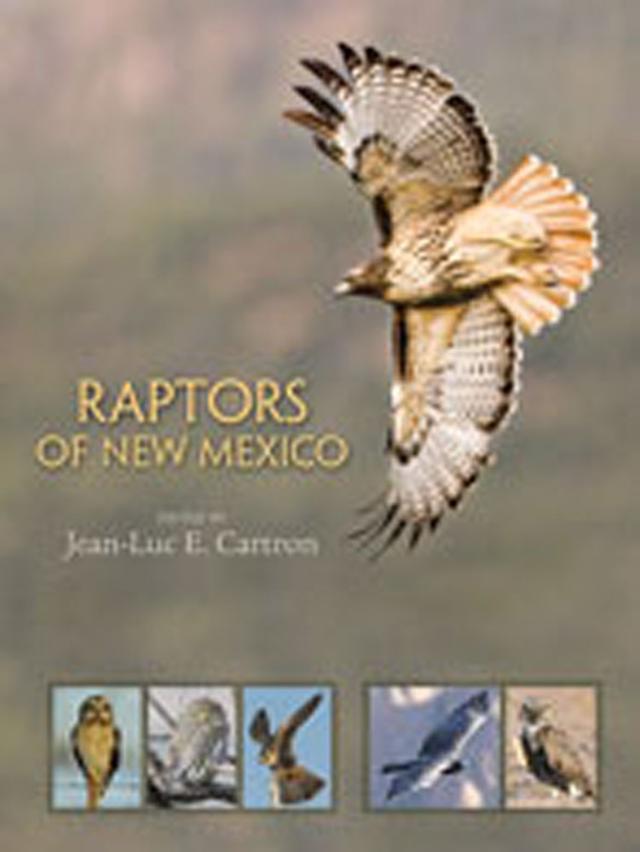 Raptors of New Mexico by Jean-Luc E. Cartron