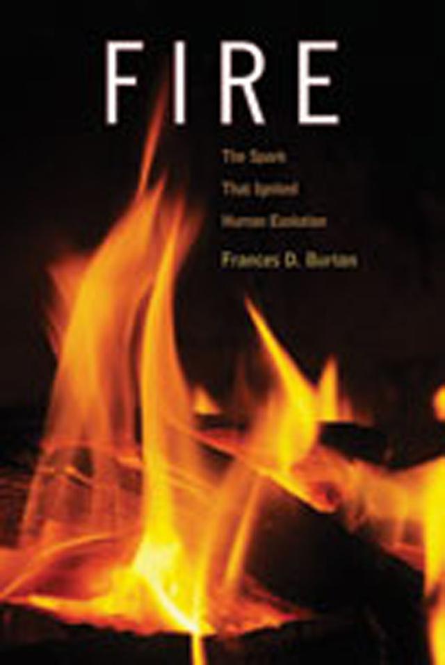 Fire by Frances D. Burton