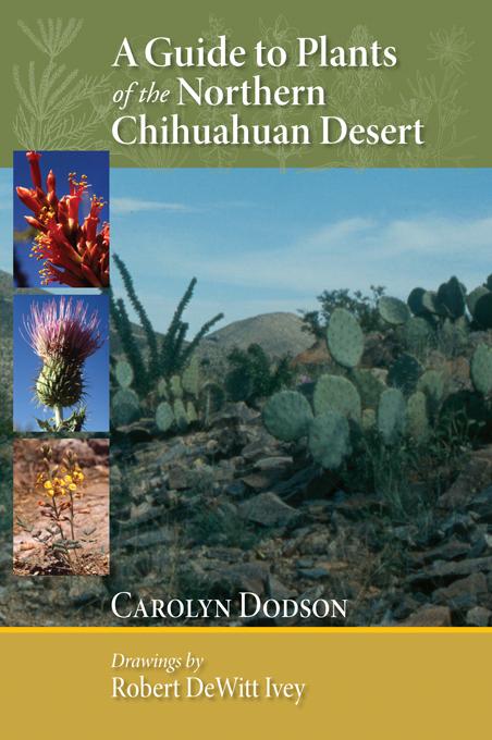 A Guide to Plants of the Northern Chihuahuan Desert by Carolyn Dodson, Robert DeWitt Ivey