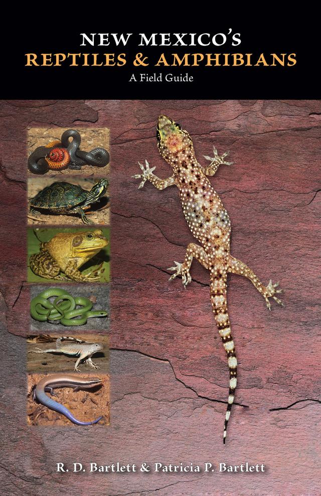 New Mexico's Reptiles and Amphibians by Patricia P. Bartlett, R. D. Bartlett