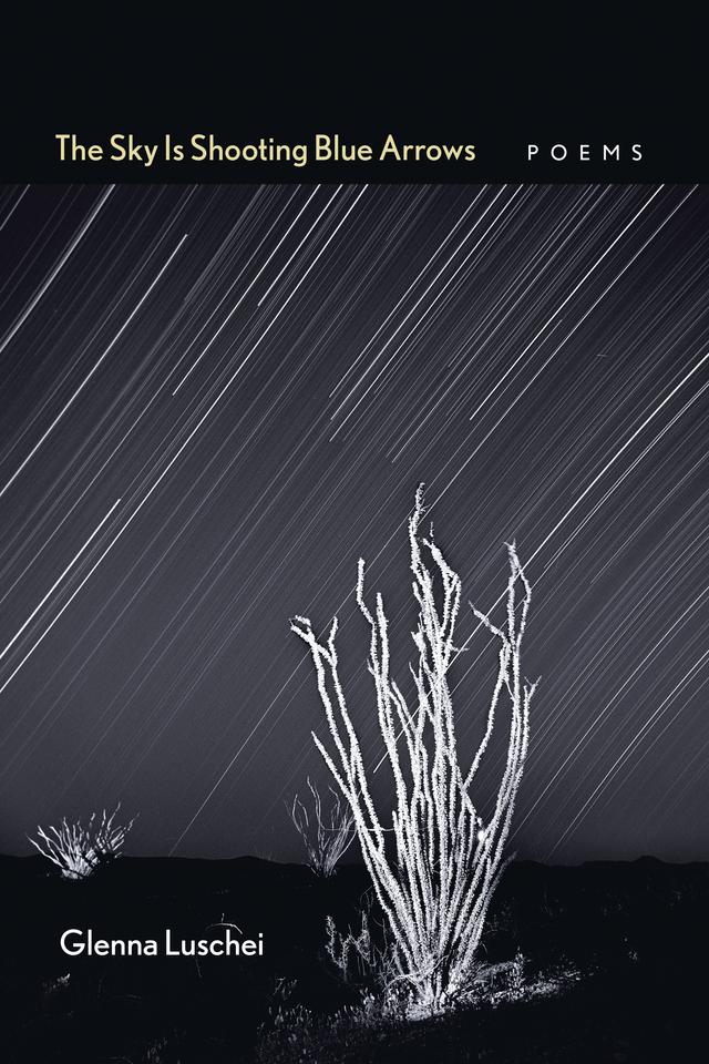 The Sky Is Shooting Blue Arrows by Glenna Luschei, Noel Woodward