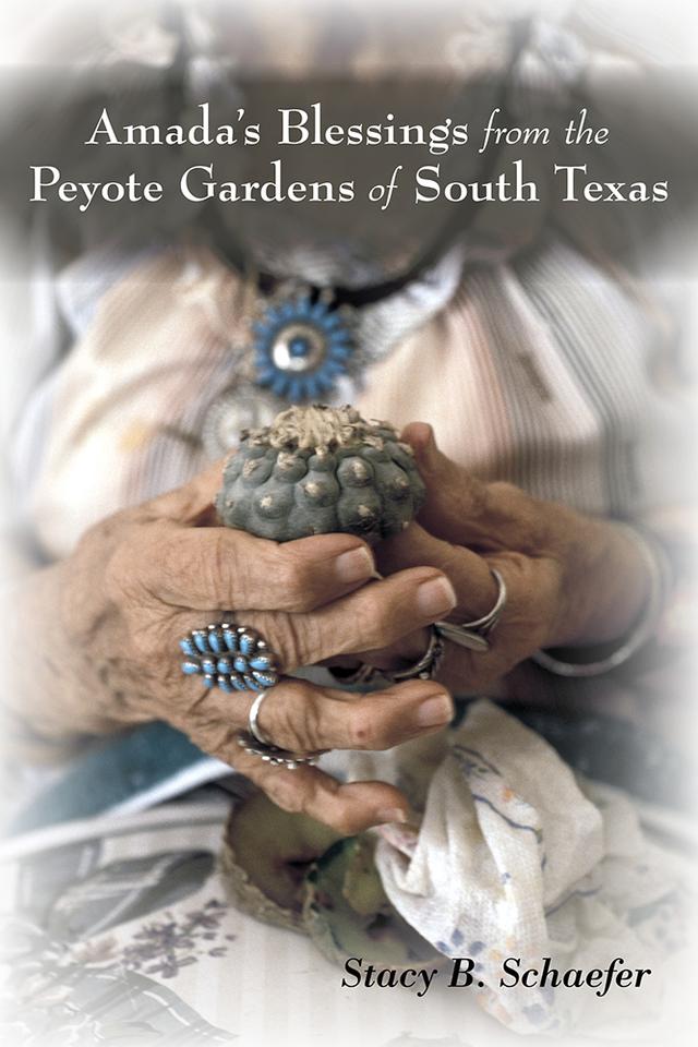 Amada's Blessings from the Peyote Gardens of South Texas by Stacy B. Schaefer