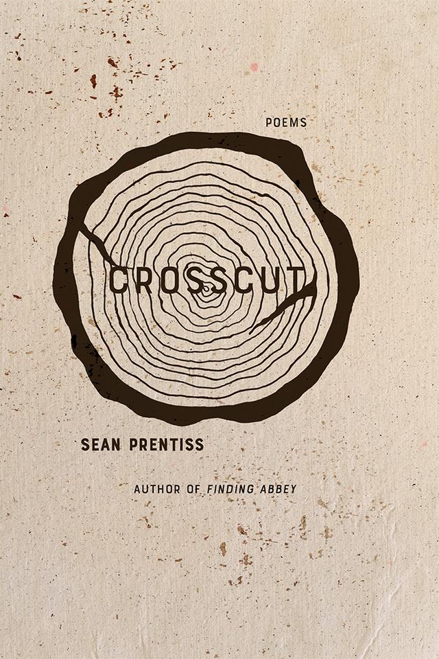 Crosscut by Sean Prentiss