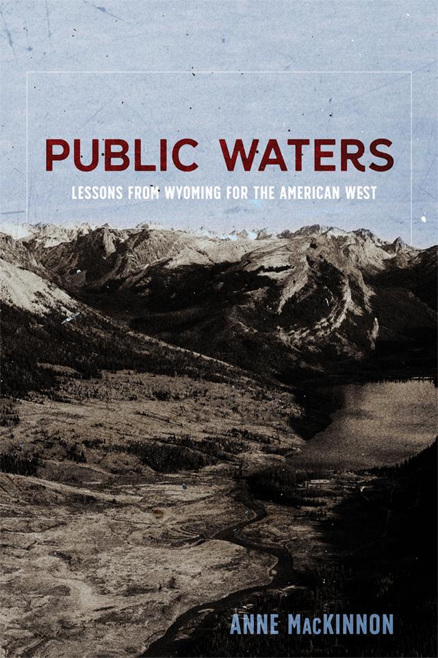 Public Waters by Anne MacKinnon