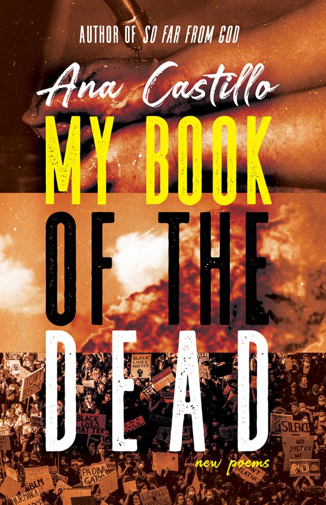 My Book of the Dead by Ana Castillo