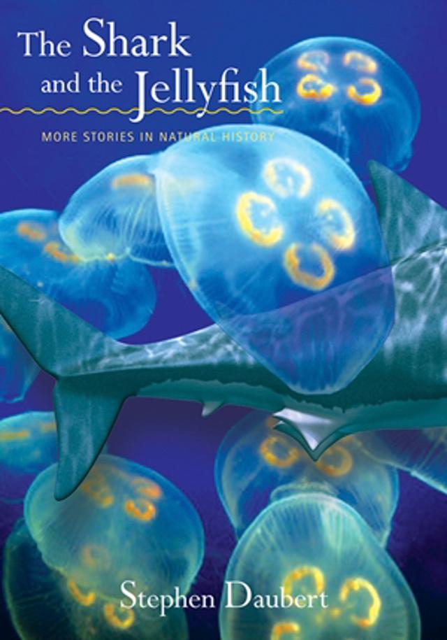 The Shark and the Jellyfish by Stephen Daubert