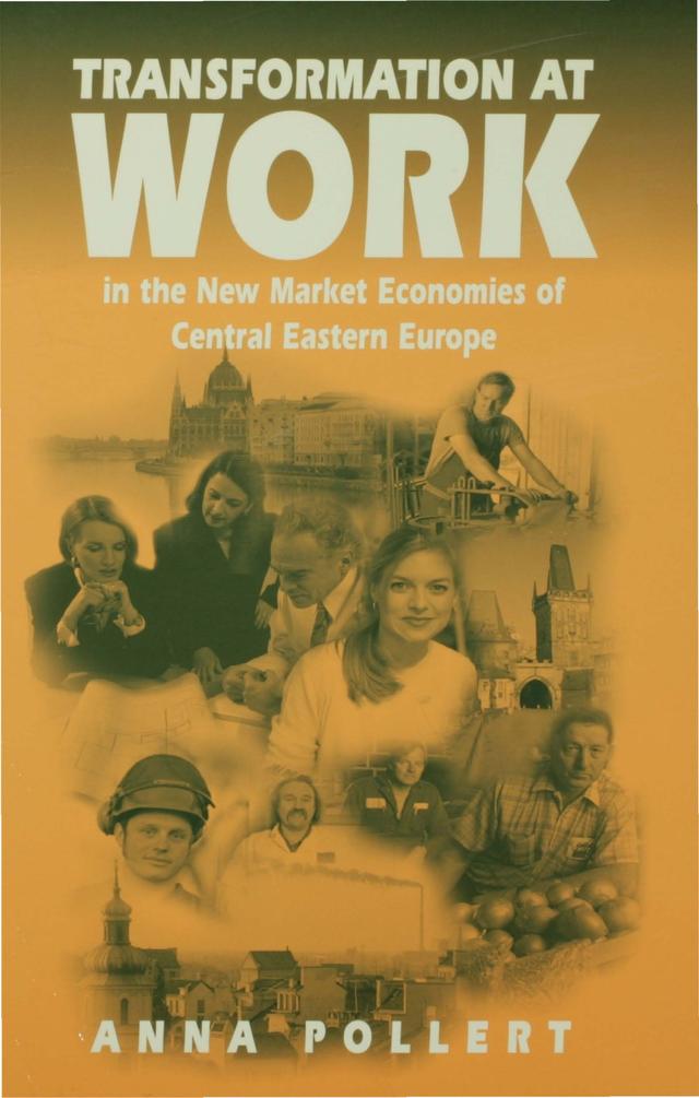 Transformation at Work by Anna Pollert