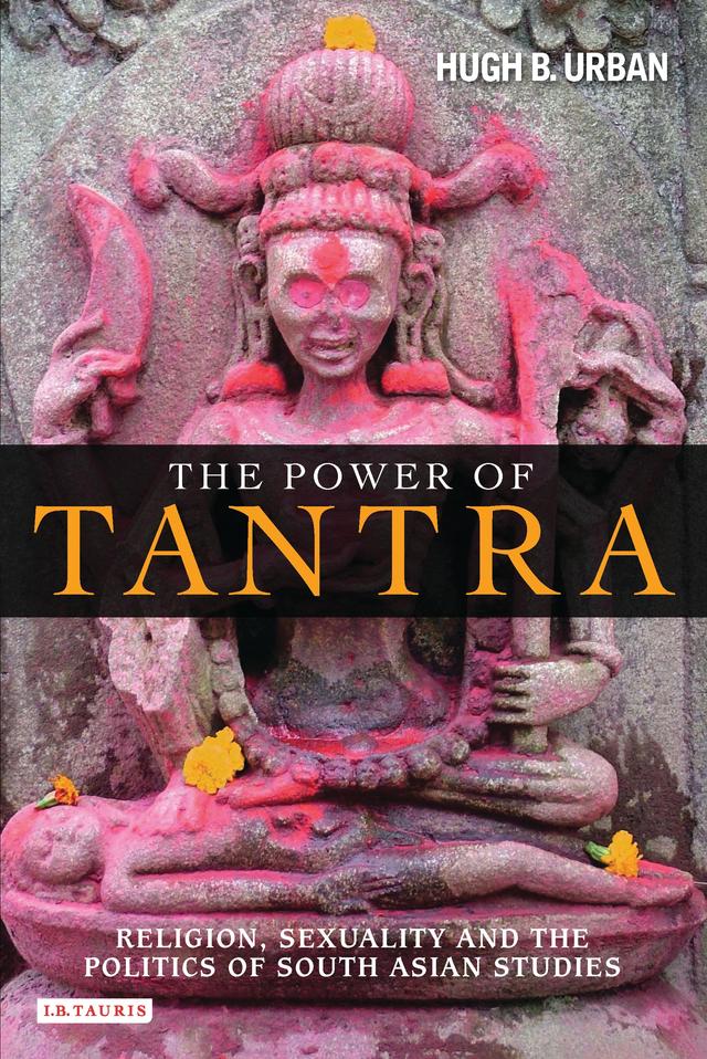 The Power of Tantra by Hugh B. Urban