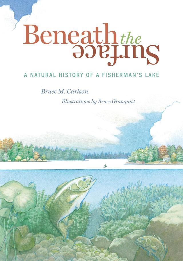 Beneath The Surface by Bruce  Granquist, Bruce M.  Carlson