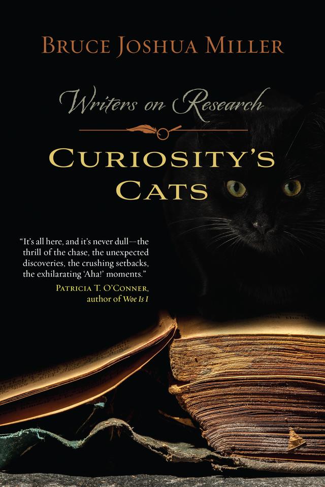 Curiosity's Cats by Bruce Joshua  Miller