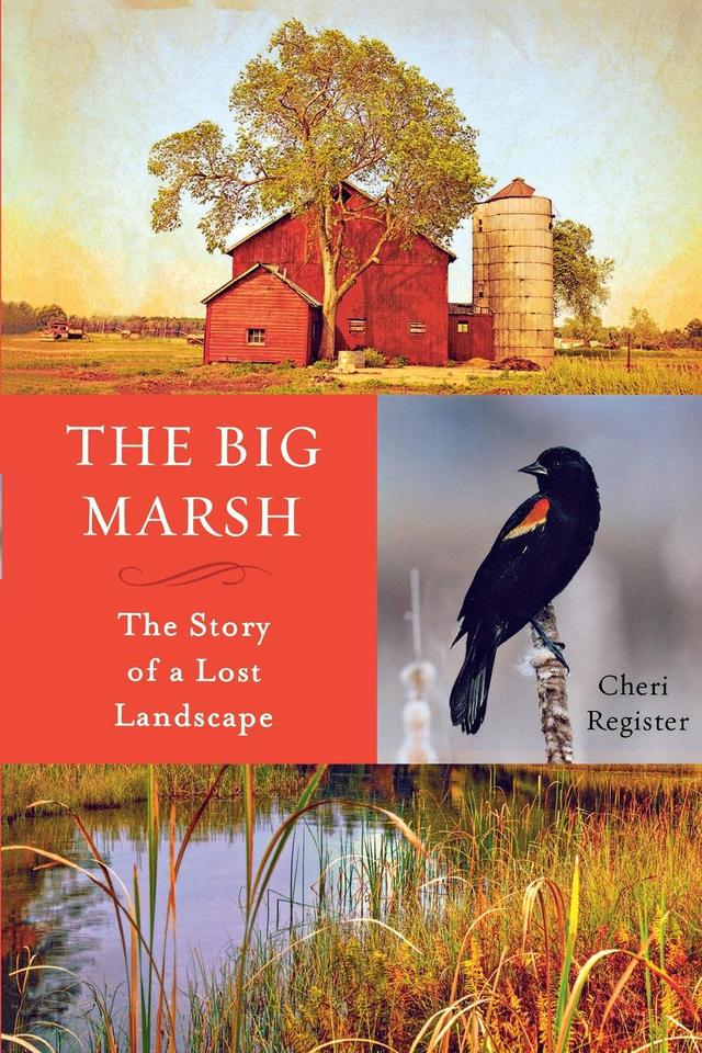 The Big Marsh by Cheri  Register