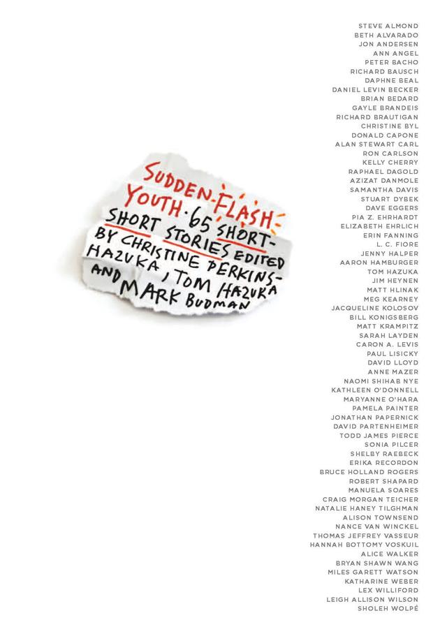 Sudden Flash Youth by Christine Perkins-Hazuka, Mark Budman, Tom Hazuka