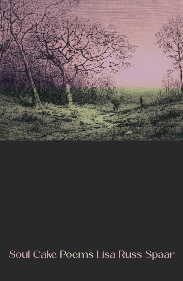 Soul Cake by Lisa Russ Spaar