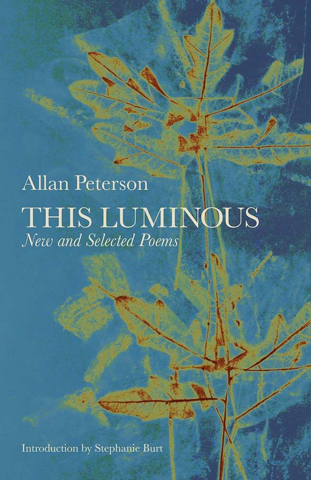 This Luminous by Allan Peterson